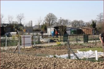 Jardins ouvriers à la Croix des Landes