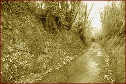 Le chemin de la Racinière aujourd‘hui